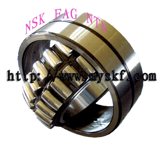 Ӧ/SKF/еר 
ؼ: