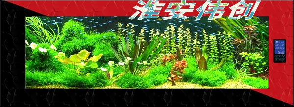 ̬ڻ㡢ˮݡ澰 
ؼ: