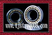 SKFNU236ECMA/C3Բ 
ؼ:2010-03-19