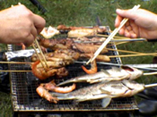 BBQտ ο Ұ տ 
ؼ: