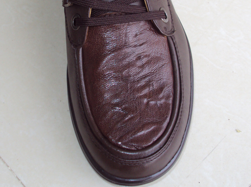 ƷЬƷƤЬȫͷţƤݲ 
ؼ: